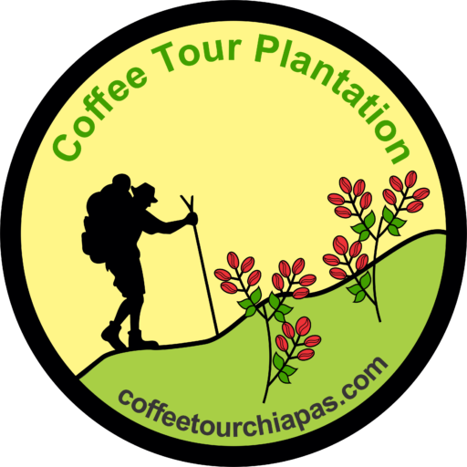 Coffee Tour Chiapas